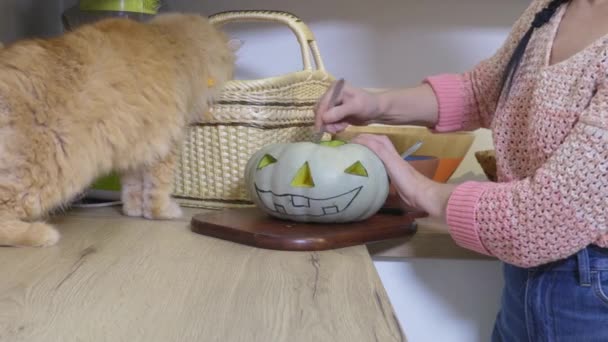 Chat Regarder Comment Femme Préparant Citrouille Pour Halloween — Video