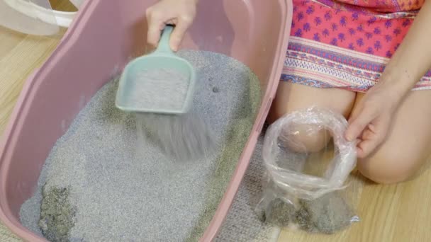 Proprietário Gato Limpeza Caixa Areia Colocando Restos Saco Plástico — Vídeo de Stock