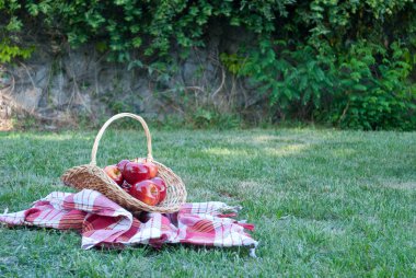 Hasır sepet Vines elmalı yeşil çim masa örtüsü, bez bir kafes havlu, kırmızı olgun sarı meyve, hasır saman, arka plan üzerinde dokuma taş çit, tırmanma bitki, yaz tatili