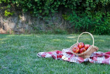 Hasır sepet Vines elmalı yeşil çim masa örtüsü, bez bir kafes havlu, kırmızı olgun sarı meyve, hasır saman, arka plan üzerinde dokuma taş çit, tırmanma bitki, yaz tatili