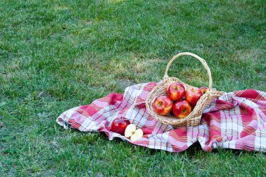 Hasır sepet Vines elmalı yeşil çim masa örtüsü, bez bir kafes havlu, kırmızı olgun sarı meyve, hasır saman, arka plan üzerinde dokuma taş çit, tırmanma bitki, yaz tatili