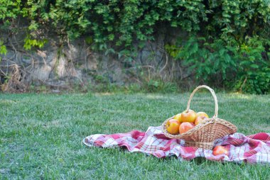 Hasır sepet Vines elmalı yeşil çim masa örtüsü, bez bir kafes havlu, kırmızı olgun sarı meyve, hasır saman, arka plan üzerinde dokuma taş çit, tırmanma bitki, yaz tatili
