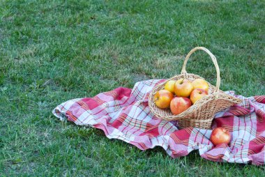 Hasır sepet Vines elmalı yeşil çim masa örtüsü, bez bir kafes havlu, kırmızı olgun sarı meyve, hasır saman, arka plan üzerinde dokuma taş çit, tırmanma bitki, yaz tatili