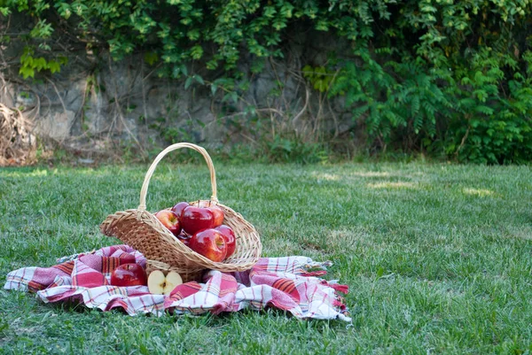 Hasır sepet Vines elmalı yeşil çim masa örtüsü, bez bir kafes havlu, kırmızı olgun sarı meyve, hasır saman, arka plan üzerinde dokuma taş çit, tırmanma bitki, yaz tatili