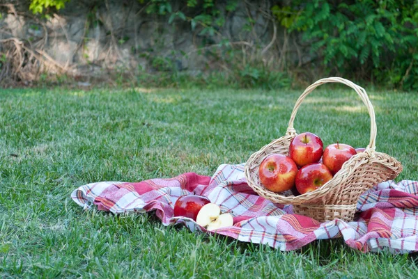 Hasır sepet Vines elmalı yeşil çim masa örtüsü, bez bir kafes havlu, kırmızı olgun sarı meyve, hasır saman, arka plan üzerinde dokuma taş çit, tırmanma bitki, yaz tatili