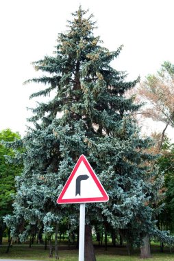Yol işaretleri, yol işaret tehlikeli sağdaki ağaçlar, trafik kuralları, sürüş arka plan üzerinde açmak