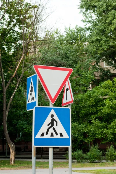 树木背景上的路标 人行横道 交通规则 道路标志 — 图库照片