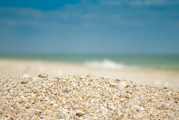 海と空 夏の日の週末 休暇の貝殻波泡に対する砂のクローズ アップ — ストック写真