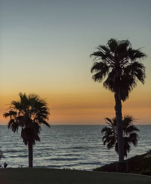 Krásné Soumraku Oblohy Nad Tichým Oceánem Třemi Palm Tree Silueta — Stock fotografie