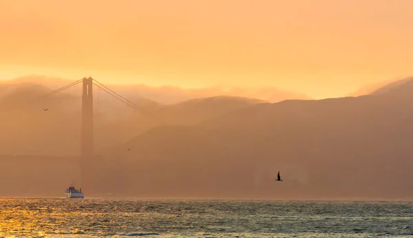 Fotografia Golden Gate Bridge Entardecer Com Para Barcos Pássaros — Fotografia de Stock