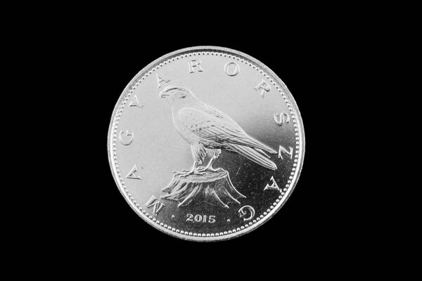 A close up photo of a Hungarian 50 Forint coin isolated on a black background