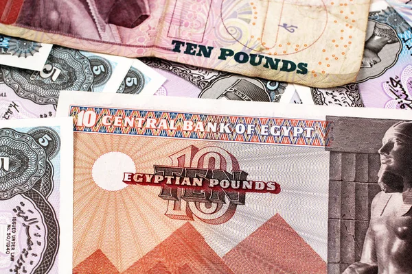 Kolorowe Egipskiej Waluty Banknotów Strzał Bliska — Zdjęcie stockowe