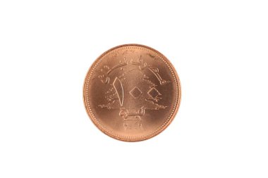 Beyaz bir arka plan üzerinde izole bir Lübnan 100 livre madalyonun bir super makro görüntü