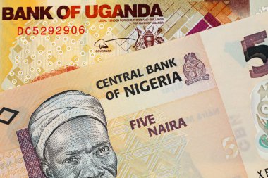 Görüntü bir beş Nijeryalı Naira banknot ve bin Uganda Şilini bill yakından