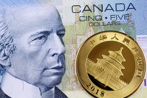 Een Macro Opname Van Een Canadese Vijf Dollar Bankbiljet Met — Stockfoto