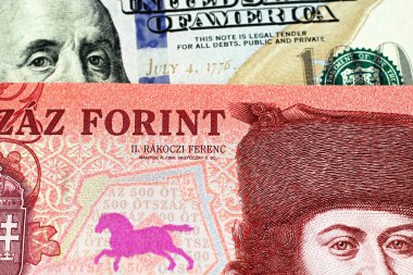 Kırmızı, beş yüz Macar forint banka notu mavi bir Amerikan yüz dolarlık banknot makro yakın