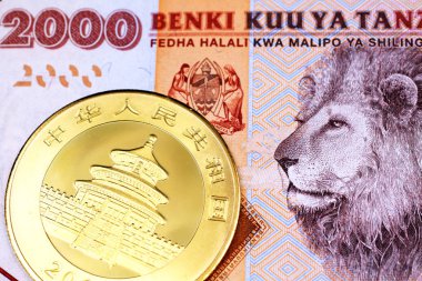 Bir turuncu yakın görüntü, Makro parlak, Çin panda altın sikke ile Tanzanya iki bin şilin nota