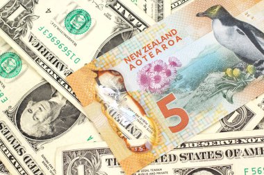 Makro ABD ile Yeni Zelanda beş dolarlık banknot yakın bir görüntü