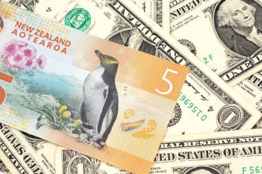 Makro ABD ile Yeni Zelanda beş dolarlık banknot yakın bir görüntü