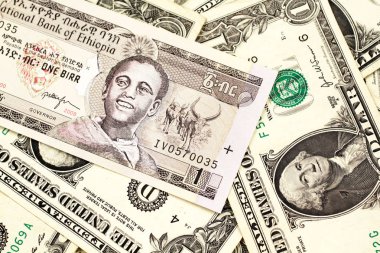Amerikan bir dolar banknot bir arka plan üzerinde bir Etiyopyalı bir birr banka notu yakın bir görüntü
