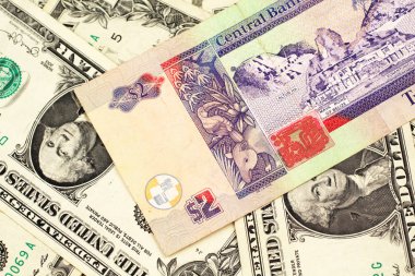 Makro Amerikan bir dolar banknot yığını ile Belize renkli bir iki dolarlık banknot yakın bir görüntü