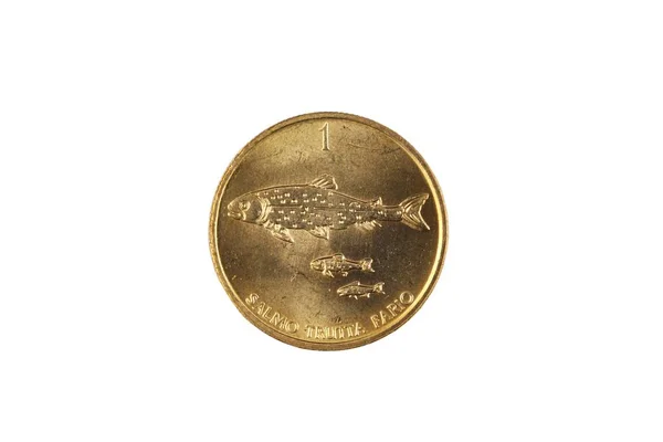 Una Moneta Oro Slovena Tolar Scattata Primo Piano Macro Isolata — Foto Stock