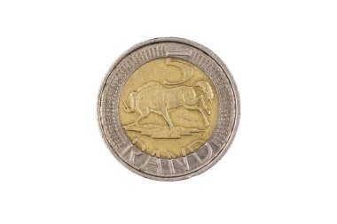 Makro beyaz bir arka plan üzerinde izole bir bimettalik, Güney Afrika beş rand sikke yakın bir görüntü