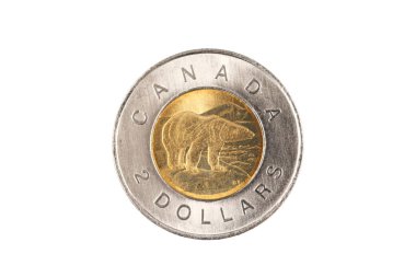 A bimettalic Canadian two dollar polar bear coin isolated on a white background, shot close up in macro clipart