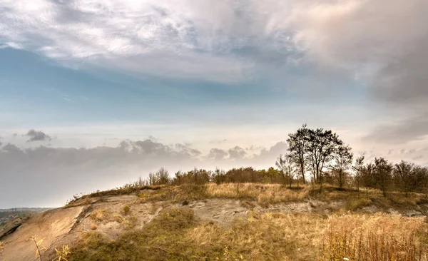 Arbre Sur Colline Lever Soleil Par Une Journée Nuageuse Brumeuse — Photo