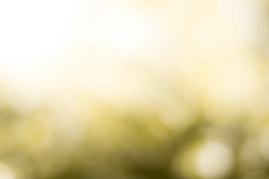 Yaprağın sarı bokeh arkaplanı.