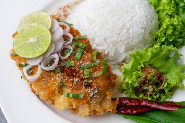 Masada beyaz çanak kızarmış tavuk ve pirinç ile Baharatlı salata.