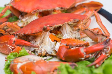 Haşlama yengeç taze, Steamed yengeç ve yengeç yumurta deniz ürünleri baharatlı sos ile.