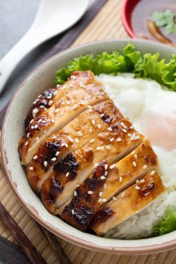 Tavuk pirinç veya Teriyaki Tavuk ve Yumurta onsen gri kase ile