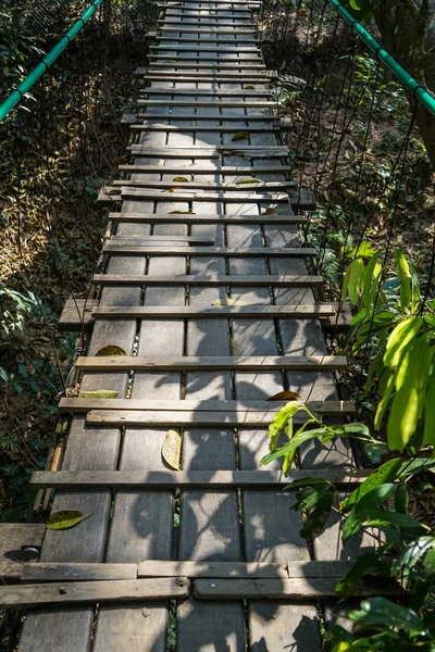 Wooden bridge path through tree jungle with rope rail, tree leaves and plant shadow, Chiangmai, Thailand