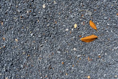 Gri renk zor çakıl Beton yüzey arka zemin sarı düşmüş kurumuş ağaç yaprakları, Phuket ile soyut doğal desen