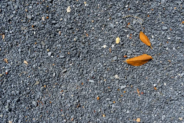 灰色硬砾石混凝土表面背景地板的抽象自然图案 黄色落叶树叶 — 图库照片