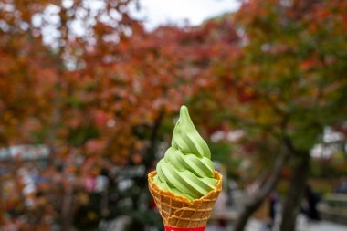 Zevk lezzetli tatlı Japon matcha yeşil çay dondurma yumuşak hizmet koni sonbahar yaprakları arasında ağaç bahçe arka plan bulanık, seçici odak, Kyoto, Japonya