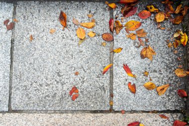 Işık gri Granit kaldırım doku arka planda, Kyoto, Japonya düşmüş renkli sonbahar yaprakları