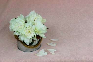 Yuvarlak metal kutuda güzel bir buket hafif şakayık. Pembe arka planda izole edilmiş. Metin için ücretsiz telif alanı, bayram kartı için resim, duvar kağıdı, takvim, poster, bahar çiçeği kartpostalı.