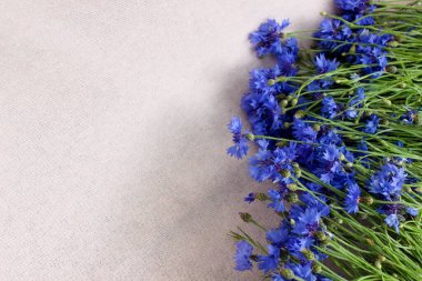 Pembe arka planda duran güzel mavi çiçek buketi, metin, üst görünüm, düz yatak, duvar kağıdı için resim, poster, kapak tasarımı, davetiye, tebrik kartı, kartpostal için bedava kopya alanı olan bir demet çiçek demeti.