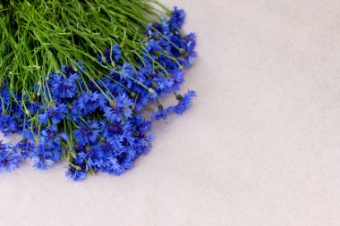 Pembe arka planda duran güzel mavi çiçek buketi, metin, üst görünüm, düz yatak, duvar kağıdı için resim, poster, kapak tasarımı, davetiye, tebrik kartı, kartpostal için bedava kopya alanı olan bir demet çiçek demeti.