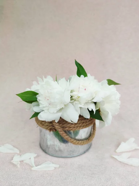 Beautiful bouquet of light milky peonies in rounded metal box isolated on pink background with free copyspace for text, image for greeting holiday card,wallpaper,calendar,poster,spring floral postcard