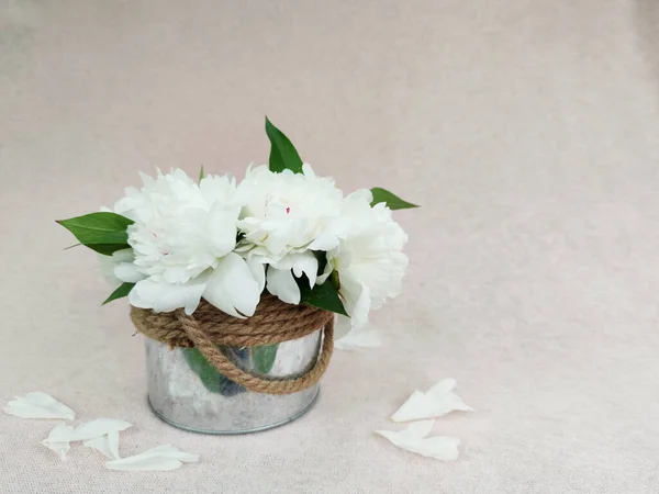 Beautiful bouquet of light milky peonies in rounded metal box isolated on pink background with free copyspace for text, image for greeting holiday card,wallpaper,calendar,poster,spring floral postcard