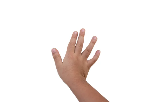 Children Hand White Background — Stock Photo, Image