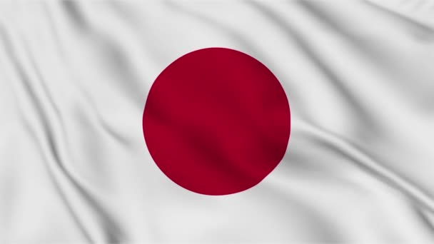 Japan Flag Waving Wind High Quality Footage Flag Fabric Surface — Stock Video