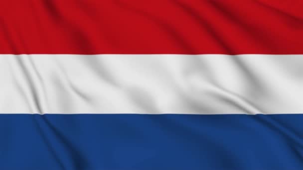 Holland Zászló Lengett Szélben Egy Kiváló Minőségű Felvétel Zászló Szövet — Stock videók