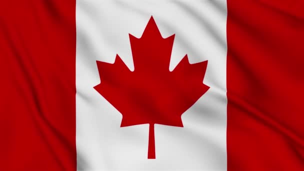 Bandera Canadá Ondeando Viento Metraje Alta Calidad Animación Fondo Superficie — Vídeo de stock
