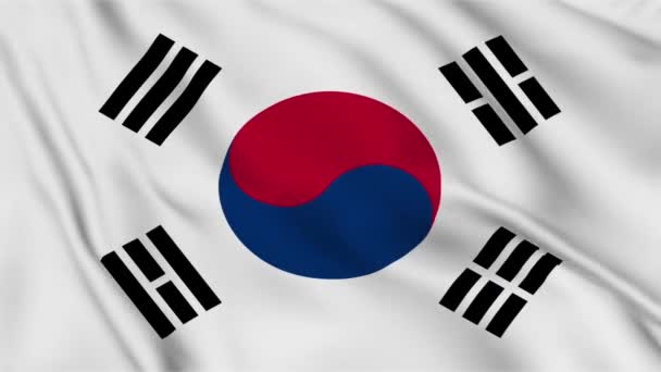 Güney Kore Bayrağı Rüzgarda Dalgalanıyor Bayrak Kumaş Arkaplan Animasyonunun Yüksek — Stok video