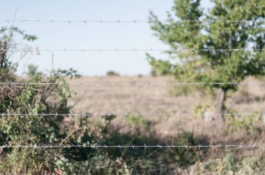 Doğa vahşi arka plan karşı ülke sınırında dikenli tel