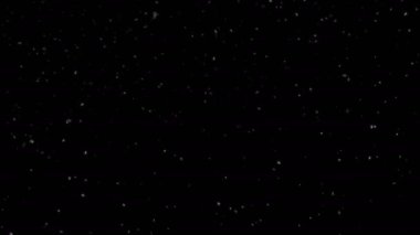 Kış Harikası Kar Taneleri Düşen 4K Canlandırması